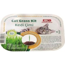 Bio Petactive Cat Grass Kit Doğal Kedi Çimi Kiti