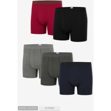 Steve Wolls Erkek Renkli 5’li Uzun Paça Bambu Boxer - 25204 (BUK100)