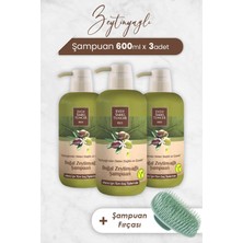 TeknoKapsül Zeytinyağlı Şampuan 600 ml x 3 Adet Şampuan Fırçası