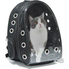 Empressco Ksburda Şeffaf Hava Kanallı Kırılmaz Cam Kedi Köpek Taşıma Seyahat Çanta 42*22*33 cm Siyah - Fiyatı, Yorumları