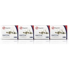 TeknoKapsül Raptiye Thumbtack, 40 Mm, Metal, Ofis Okul Kullanımı Için, 160 Adet, 4 Kutu