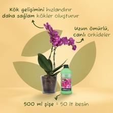 TeknoKapsül Prestige Orkideler Için Sıvı Bitki Besini 500 ml