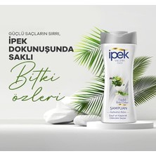 TeknoKapsül Ipek Faydalı Bitki Özleri Şampuan 480 ml
