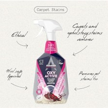 TeknoKapsül Astonish Koltuk Halı Temizleyici Sprey 750 ml
