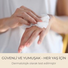 TeknoKapsül Islak Mendil 1152 Yaprak (12X96) – Koli