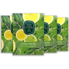 TeknoKapsül Çeşme Limonu Kolonyalı Mendil 50'li x 4 Adet