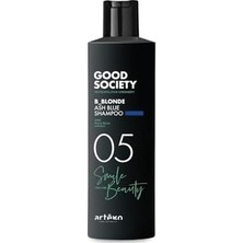TeknoKapsül Artego Good Society 05 B_blonde Ash Şampuan 250 Ml. Silver - Mor Şampuan