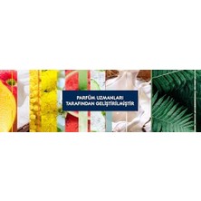 TeknoKapsül Glade Ev & Tekstil Parfümü Karpuz 450ML