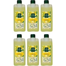 TeknoKapsül Klasik Limon Kolonyası Yedek Şişe 1 Litre x 6 Adet