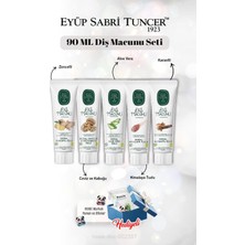 TeknoKapsül Zencefil, Karanfil, Himalaya, Aloe, Ceviz Kabuğu 90 ml Macun Seti Rosie