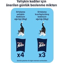 TeknoKapsül Felix Lezzetli Dilimler Tonlu 80 gr Tekli Paket