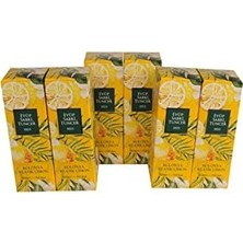 TeknoKapsül Klasik Limon Kolonyası 80 Derece Pet Şişe 400 ml x 6