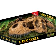 TeknoKapsül Exo Terra T-Rex Kafatası, Sürüngenler Amfibiler Için Güvenli Saklama, Büyük, 1 Adet (Tekli Paket