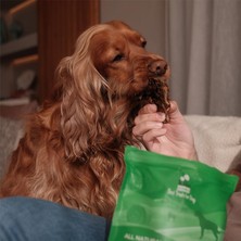TeknoKapsül Kito Dana Akciğer Küp Atıştırmalık Ödül MAMASI%100 Doğal, Glutensiz, Organik 100 gr (Dog Trea