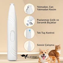 TeknoKapsül Pati Tüy Kesme Makinesi Sessiz Hassas Bölge Traş Seramik & Çelik Bıçaklı