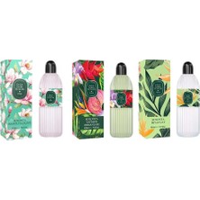 TeknoKapsül Kolonya Manolya Çiçeği, Yağmur Ormanları Beyaz Çay Pet Şişe 400 ml