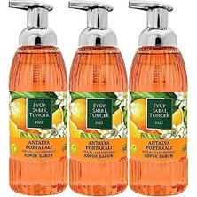 TeknoKapsül Antalya Portakalı Köpük Sabun 500 ml x 3