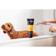 TeknoKapsül Animology Curly Coat Kıvırcık Tüylü Şampuanı 250 ml