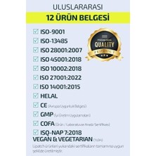 TeknoKapsül Lipatch Vitality Transdermal Yaşam Yaması - 52 Test Onaylı,%70 Kırmızı Ginseng Magnezyum Destek