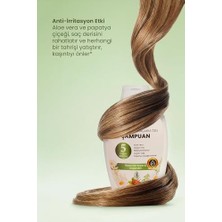 TeknoKapsül Argan Yağlı Sülfatsız Şampuan - 5 Bitki Özlü, Boyalı Saçlar Için Besleyici 300ML