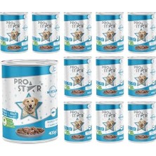 TeknoKapsül Prostar Yetişkin Balıklı Jöleli Konserve Mama 400 gr x 12 Adet