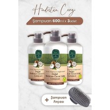 TeknoKapsül Hindistan Cevizi Şampuan 600 ml x 3 Adet Şampuan Fırçası