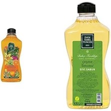 TeknoKapsül Doğal Zeytinyağlı Sıvı Sabun, Bodrum Mandalinası, 1,5 L Pet Şişe (1 x 1500 Ml) Xeyüp D