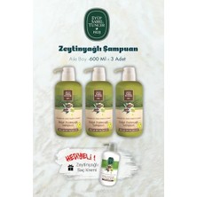 TeknoKapsül Zeytinyağlı Şampuan 600 ml x 3 Saç Kremi Hediyeli