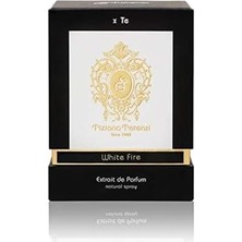 TeknoKapsül Tiziana Terenzi Fire Edp 100ML