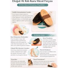 TeknoKapsül At Kılı Vücut/selülit Fırçası (Kahverengi) (Taşıma Kesesi ile Birlikte Gönderilir)