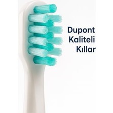 TeknoKapsül Dentindex Taşınabilir Sonik Fırçası – Sessiz, Yumuşak Başlıklı, Şarjlı, Dupont Kıllı, Seyahat T