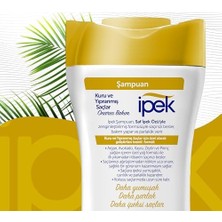 TeknoKapsül Ipek Hazinesi Şampuan 480 ml