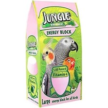 TeknoKapsül Jungle Kuş Bloğu Büyük, 3x4 cm