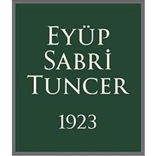 TeknoKapsül Zeytinyağlı Bodrum Mandalinası Köpük Sabun 500 ml x 2 Adet