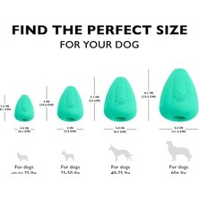 TeknoKapsül Chew Treat Oyuncağı, Xl, Son Derece Dayanıklı, Doğal Kauçuk Oyuncak, 2'li Paket