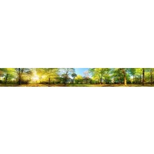 TeknoKapsül Mutfak Tezgah Arası Folyo Kaplama Folyosu Manzarası 60X400 cm