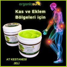 TeknoKapsül At Kestanesi Balsamı Jeli Kas Eklem Besleyici Masaj Kremi 500 ml