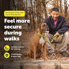 TeknoKapsül Petsafe Hızlı Kopçalı Martingale Yaka, 3/4" Medium, Kırmızı