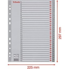 TeknoKapsül 1-31 Rakamlı Separatör, A4, Gri, 100108