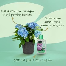TeknoKapsül Ortancalar Açelyalar Için Sıvı Besin Gübre 500 ml