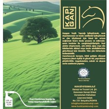 TeknoKapsül Yeşi̇l Çi̇m Gübresi̇ (Sprey)