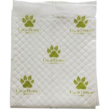 TeknoKapsül Saki̇nleşti̇ri̇ci̇li̇ Çi̇ş Eği̇ti̇m Pedi̇ 90X60CM 10LU