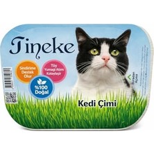 TeknoKapsül Doğal Fileli Çimi (Tüy Yumağı Önleyici)