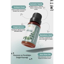TeknoKapsül Lofty Okaliptus Saf Uçucu (10ML) -%100 Doğal Esansiyel | Uyku, Rahatlama Aromaterapi Içi
