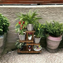 TeknoKapsül Veher Ahşap (Çam) Cevi̇z Renk 4 Katlı Bitki Standı, Kilitlenebilir Tekerlekler + Mini Bahçe Seti + M