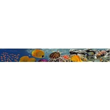 TeknoKapsül Mutfak Tezgah Arası Folyo Kaplama Folyosu Kızıldeniz 60X200 cm