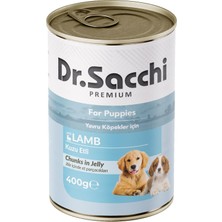 Dr.sacchi Konserve Yavru Köpek Kuzu Etli 400GR