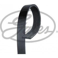 Gates Almparca Kanalli V Kayişi Renault Megane I 1.9 D-Dt-Tdi-Dti-Dci 96-03, Laguna I 1.9 Dti 97-01
