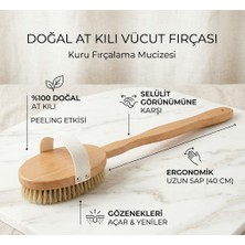 Nurimo Doğal At Kılı Banyo ve Vücut Fırçası - Uzun Ahşap Saplı Kuru Masaj ve Peeling Fırçası (40 Cm)