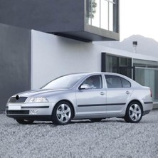 Belirtilmemiş Ön Cam Silecek Vida Kapağı Octavia A5 2004-2008